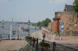 19-05-24_Rees_0037_LeS_06479