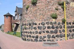 19-05-24_Rees_0046_GA2_0306