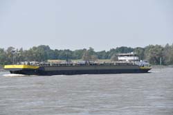 19-05-24_Rees_0048_GA2_0308