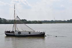 19-05-24_Rees_0124_GA2_0341