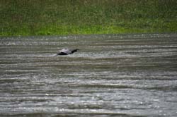 19-05-24_Rees_0180_GA2_0368